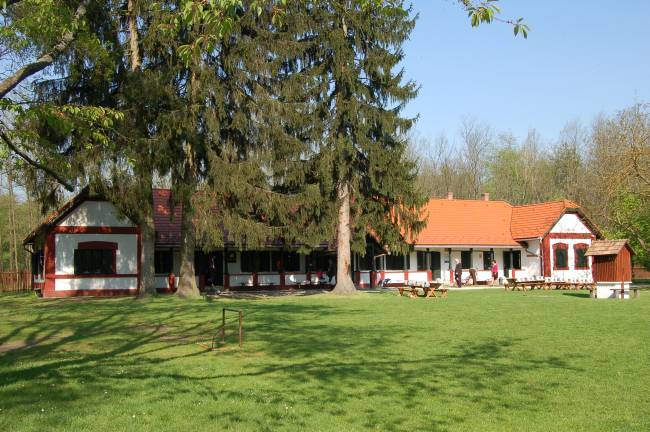 szilagyi-erdei-iskola.jpg